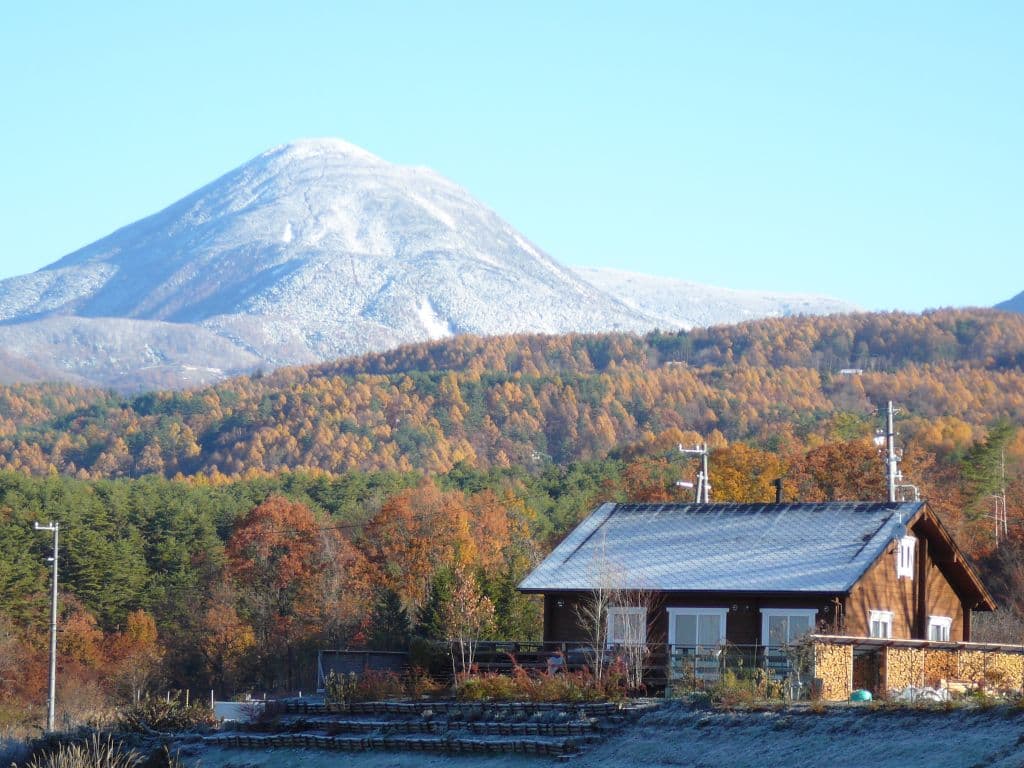 Saela Homes log home plan